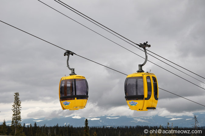 2010.04.13 0156p BigWhite